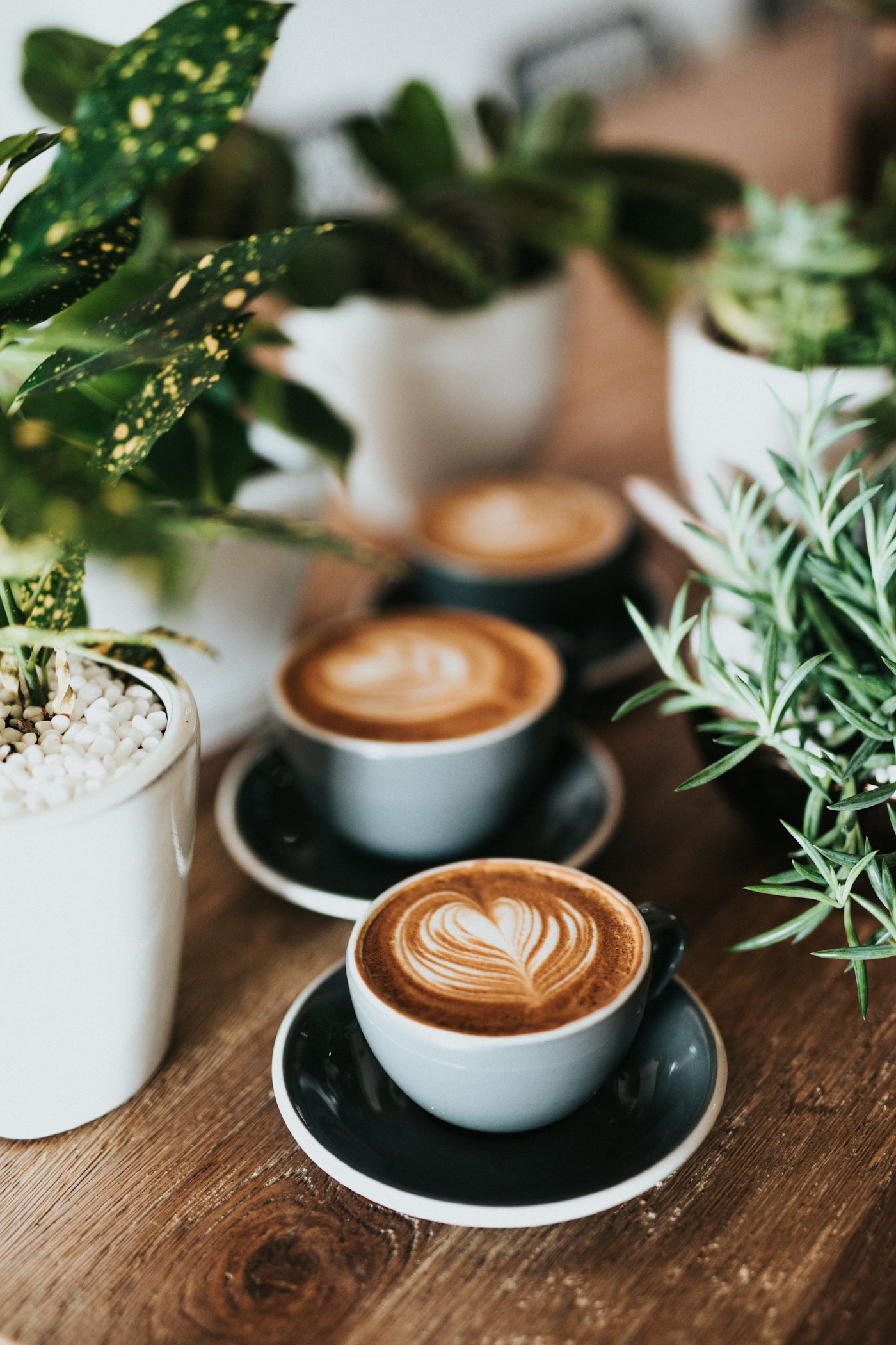 The Coffee