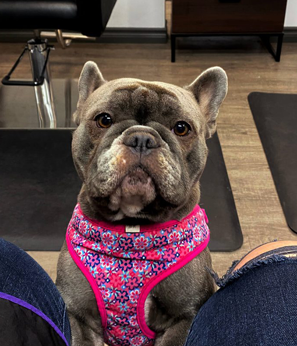Daisy, stylist at Hair Enve