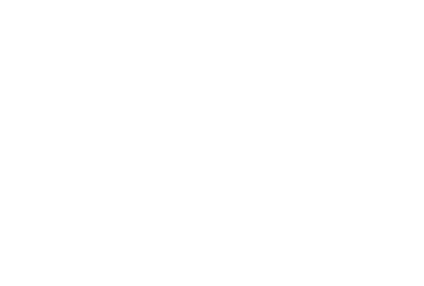 Precision Auto-Tech logo