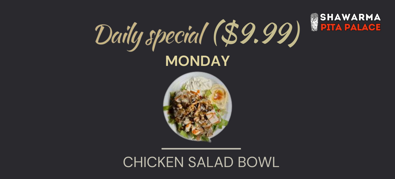 Shawarma Pita Palace dish